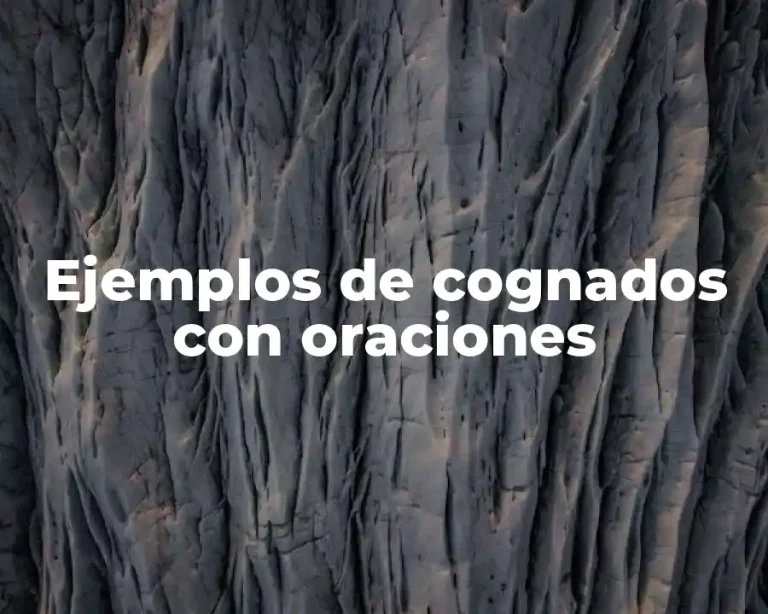 Ejemplos de cognados con oraciones