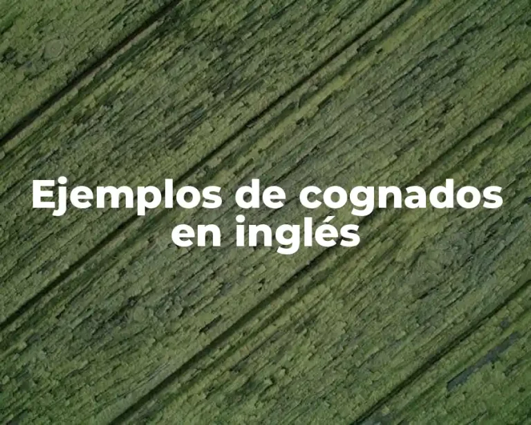 Ejemplos de cognados en inglés