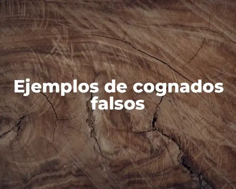 Ejemplos de cognados falsos