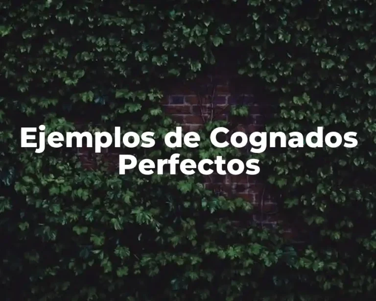 Ejemplos de Cognados Perfectos