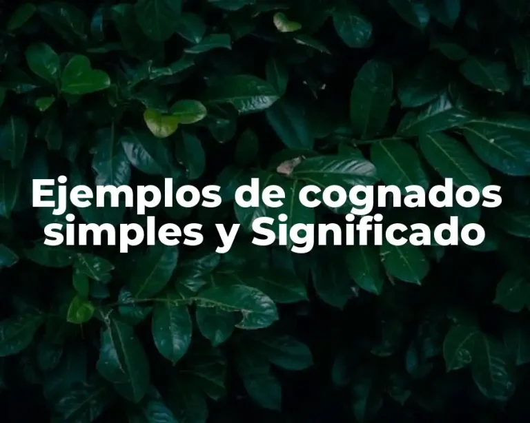 Ejemplos de cognados simples y Significado