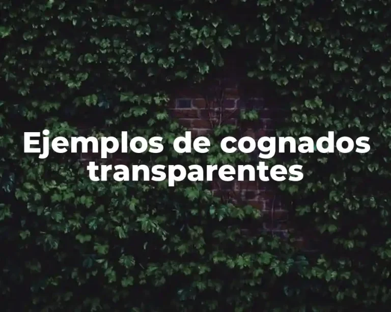 Ejemplos de cognados transparentes