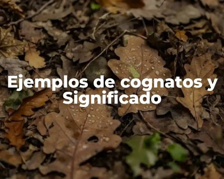Ejemplos de cognatos y Significado