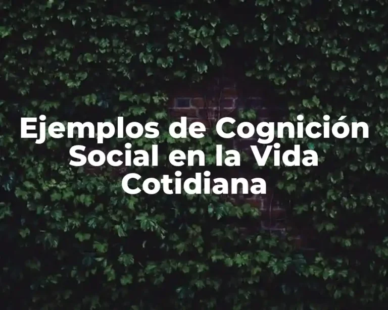 Ejemplos de Cognición Social en la Vida Cotidiana