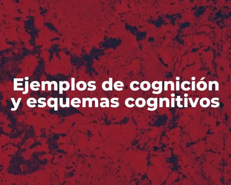 Ejemplos de cognición y esquemas cognitivos