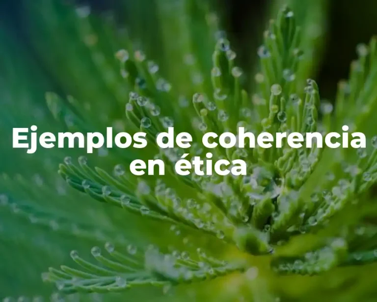 Ejemplos de coherencia en ética