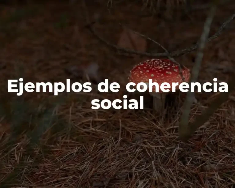 Ejemplos de coherencia social