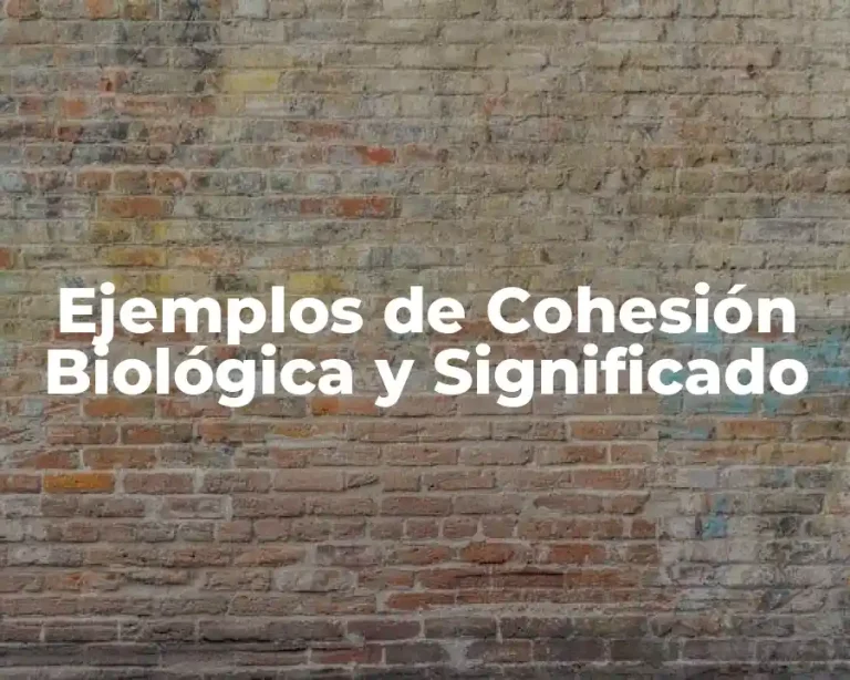 Ejemplos de Cohesión Biológica y Significado