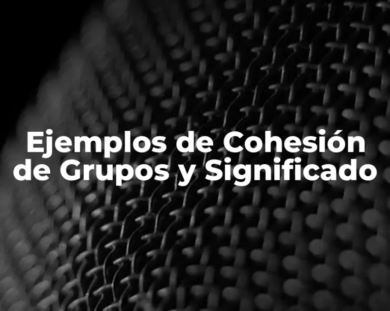 Ejemplos de Cohesión de Grupos y Significado