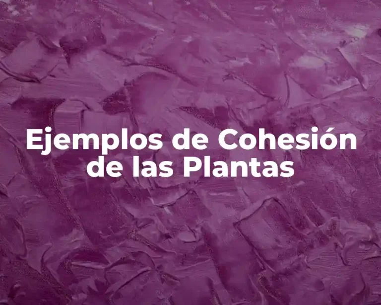 Ejemplos de Cohesión de las Plantas