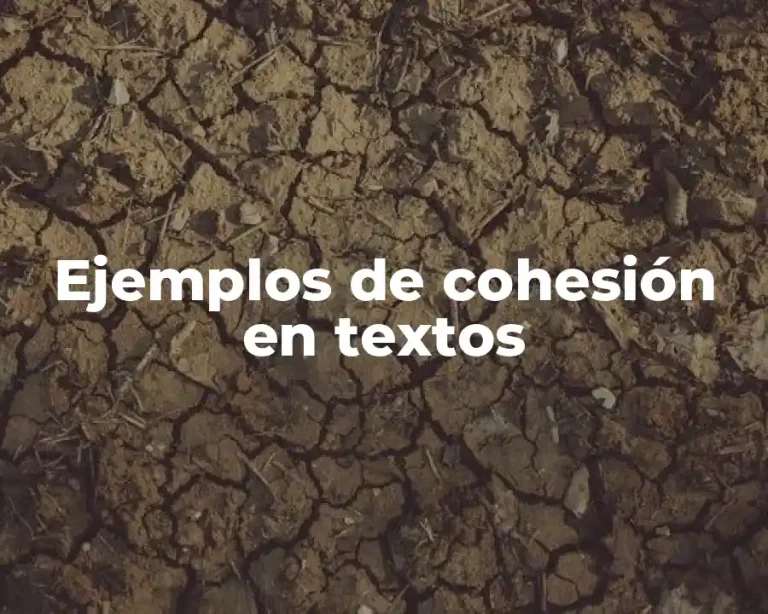 Ejemplos de cohesión en textos