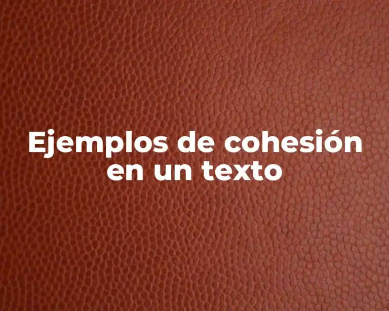 Ejemplos de cohesión en un texto