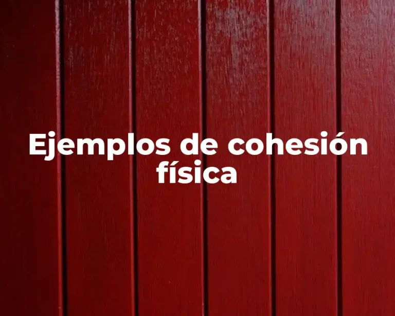 Ejemplos de cohesión física