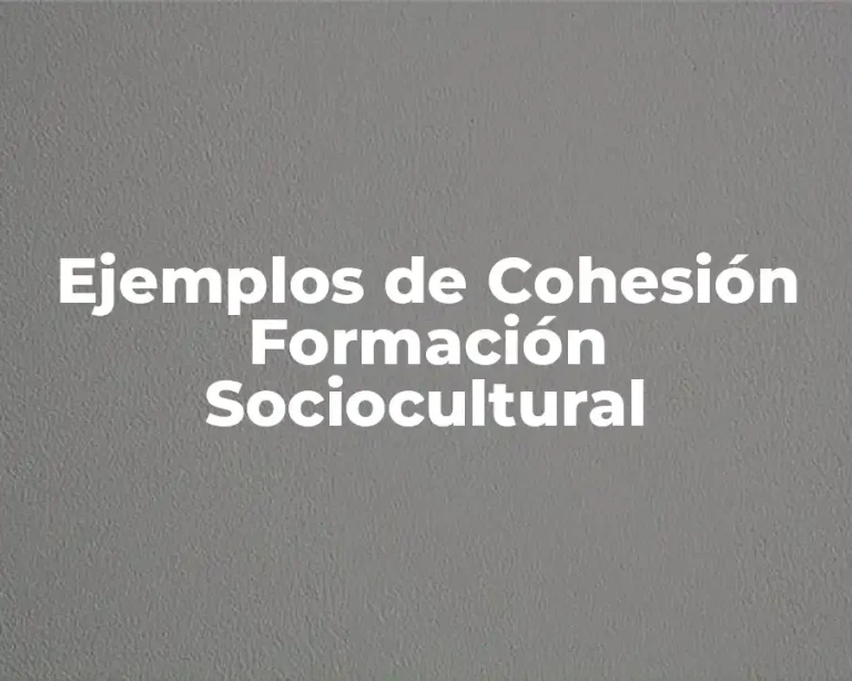 Ejemplos de Cohesión Formación Sociocultural