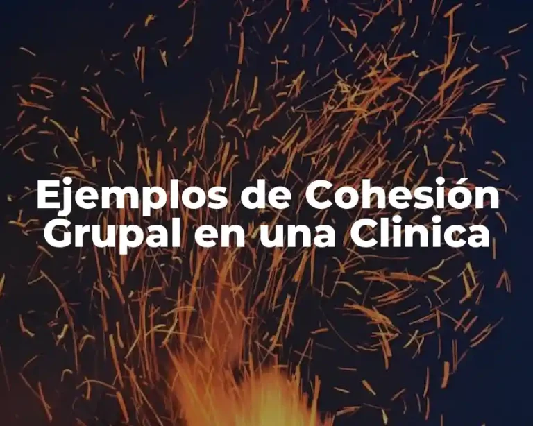 Ejemplos de Cohesión Grupal en una Clinica