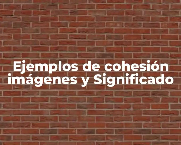 Ejemplos de cohesión imágenes y Significado
