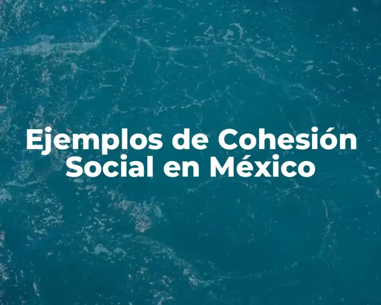 Ejemplos de Cohesión Social en México