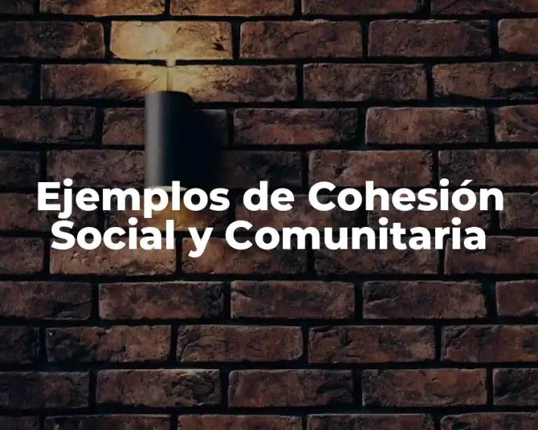 Ejemplos de Cohesión Social y Comunitaria