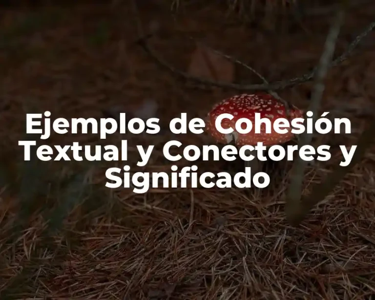 Ejemplos de Cohesión Textual y Conectores y Significado