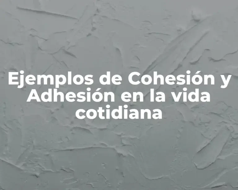 Ejemplos de Cohesión y Adhesión en la vida cotidiana