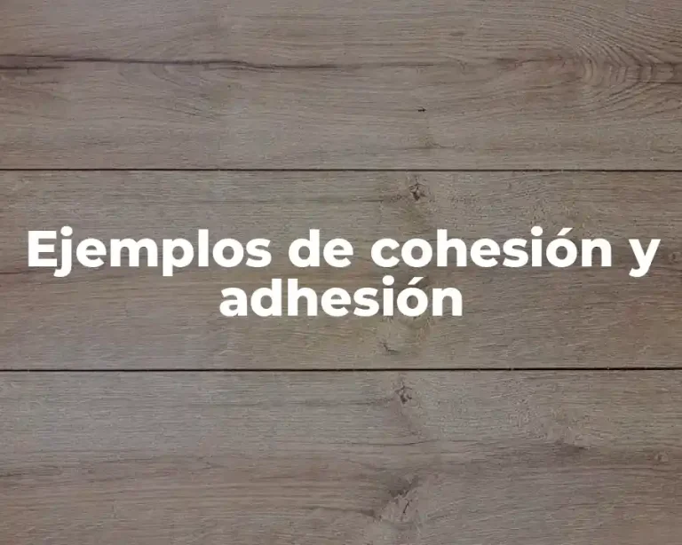 Ejemplos de cohesión y adhesión