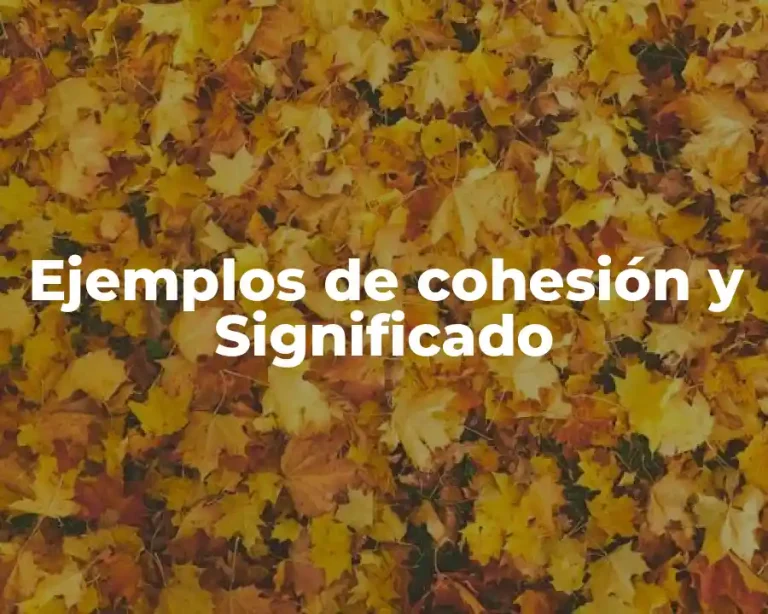 Ejemplos de cohesión y Significado