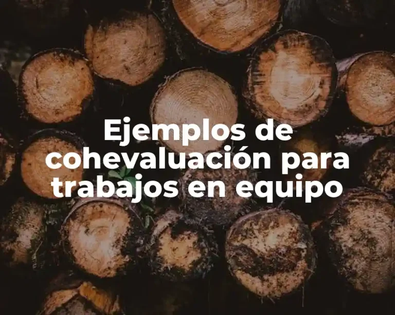 Ejemplos de cohevaluación para trabajos en equipo