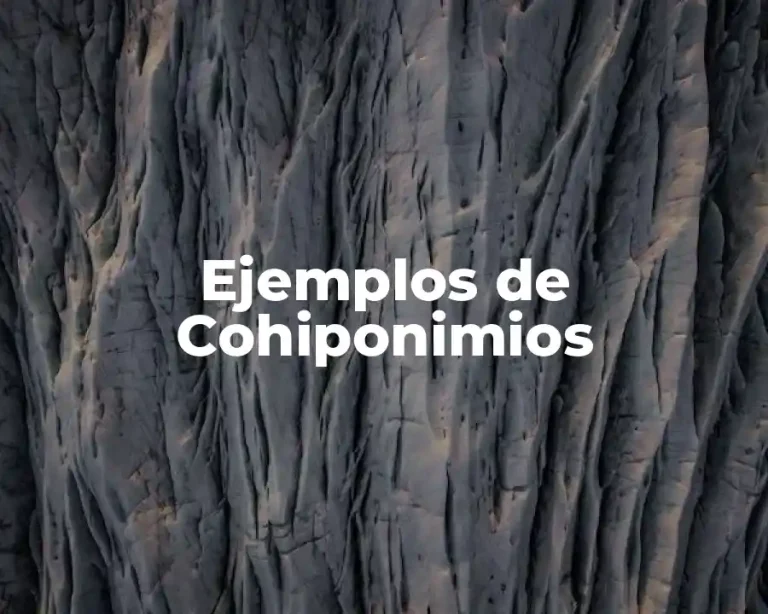 Ejemplos de Cohiponimios