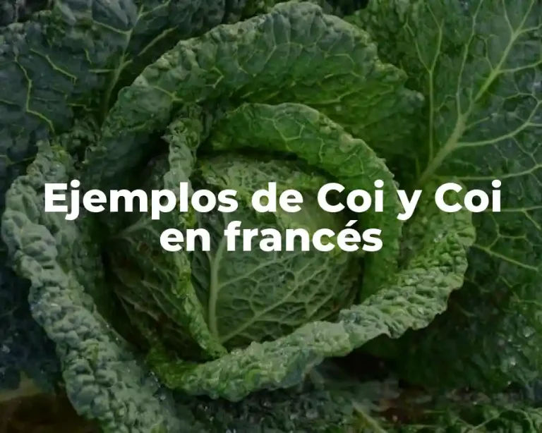 Ejemplos de Coi y Coi en francés