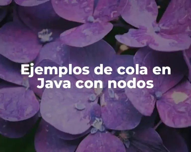 Ejemplos de cola en Java con nodos