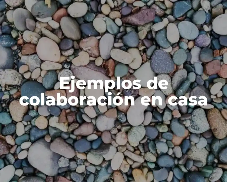 Ejemplos de colaboración en casa