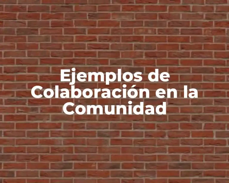 Ejemplos de Colaboración en la Comunidad
