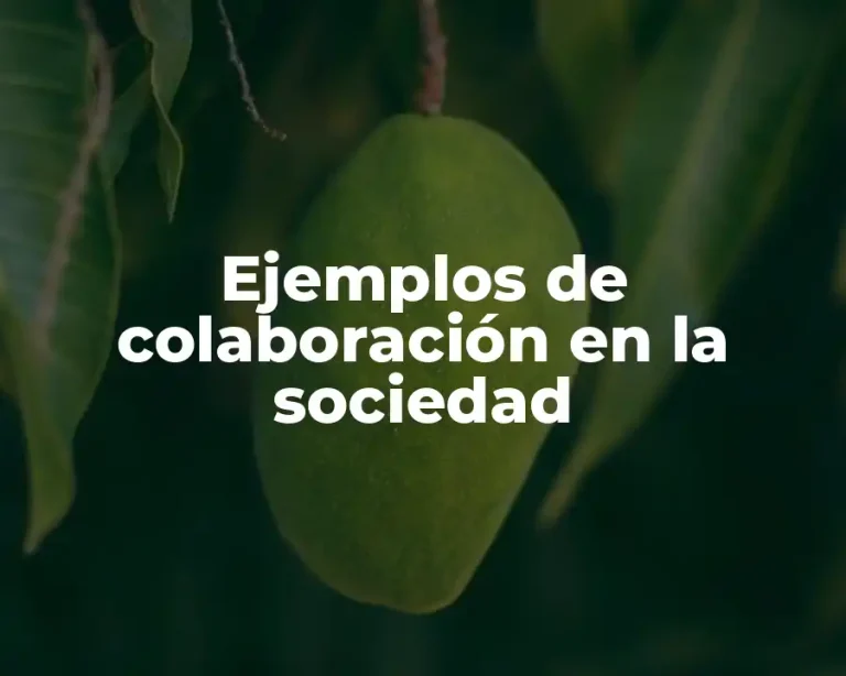 Ejemplos de colaboración en la sociedad
