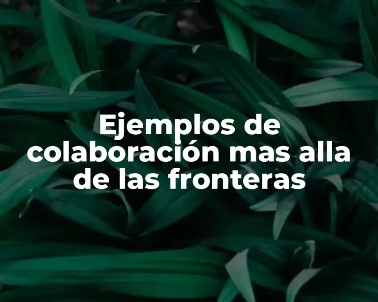 Ejemplos de colaboración mas alla de las fronteras