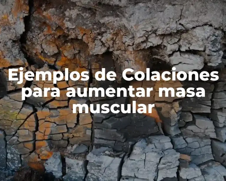 Ejemplos de Colaciones para aumentar masa muscular