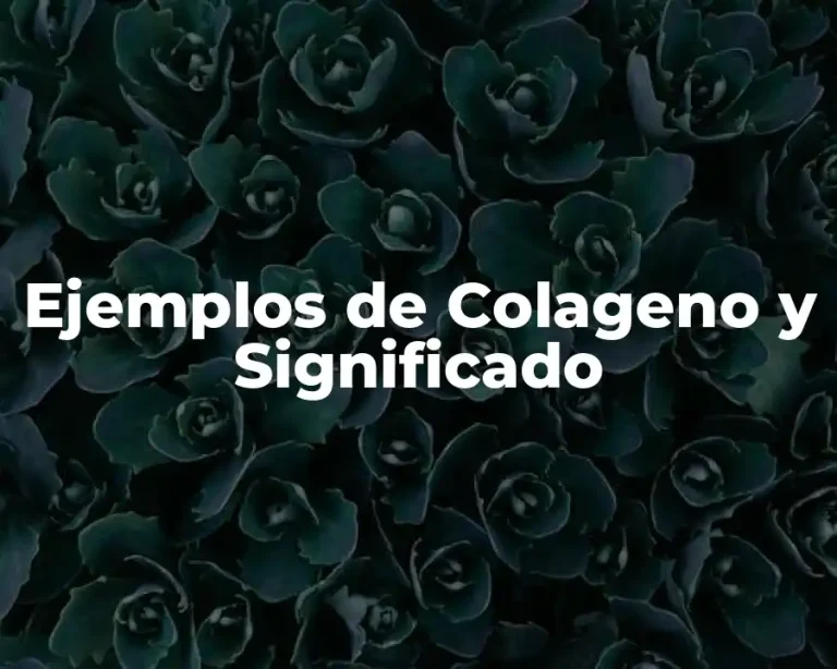 Ejemplos de Colageno y Significado
