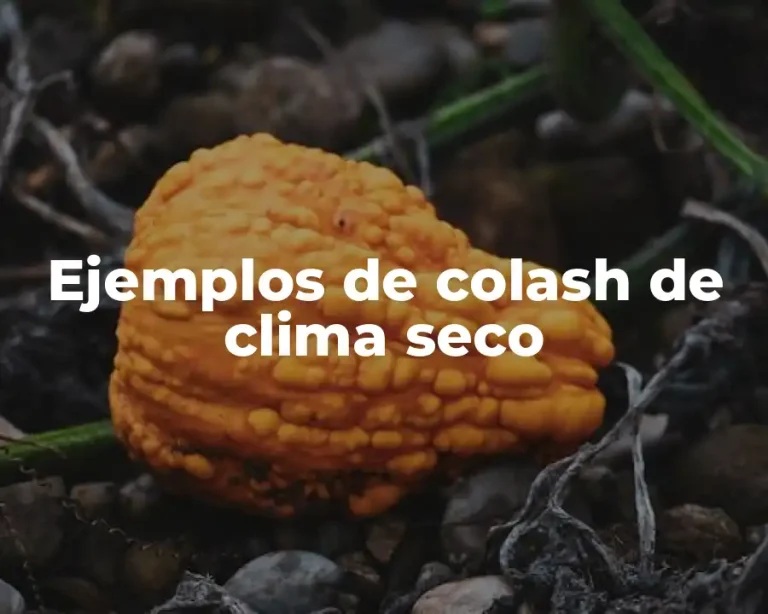 Ejemplos de colash de clima seco
