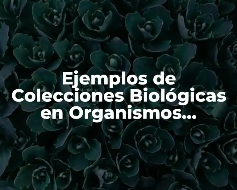 Ejemplos de Colecciones Biológicas en Organismos Vegetales