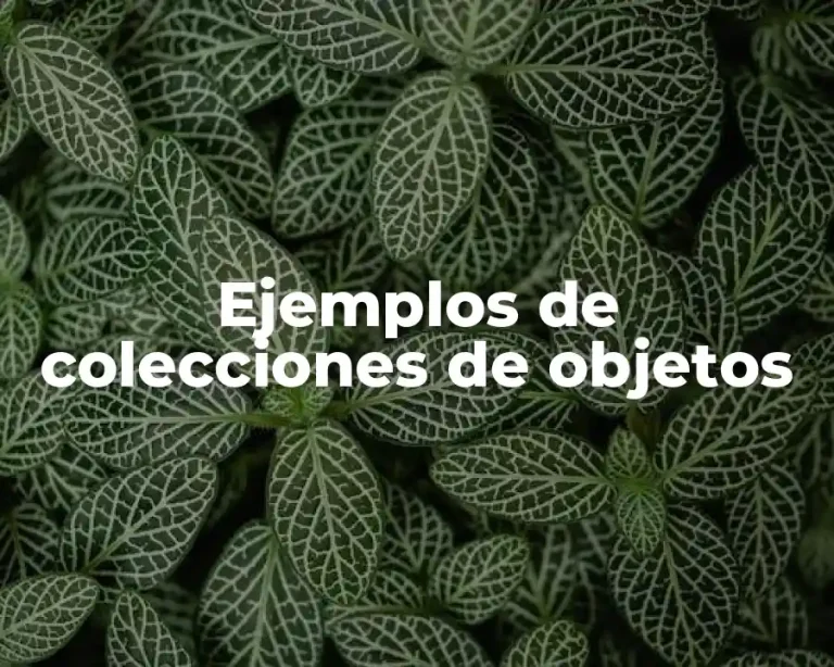 Ejemplos de colecciones de objetos