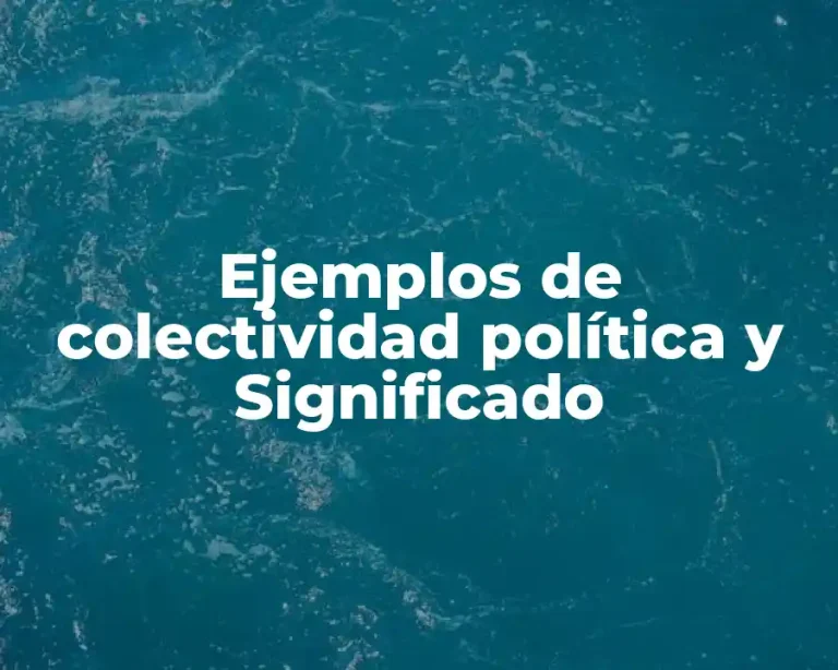 Ejemplos de colectividad política y Significado