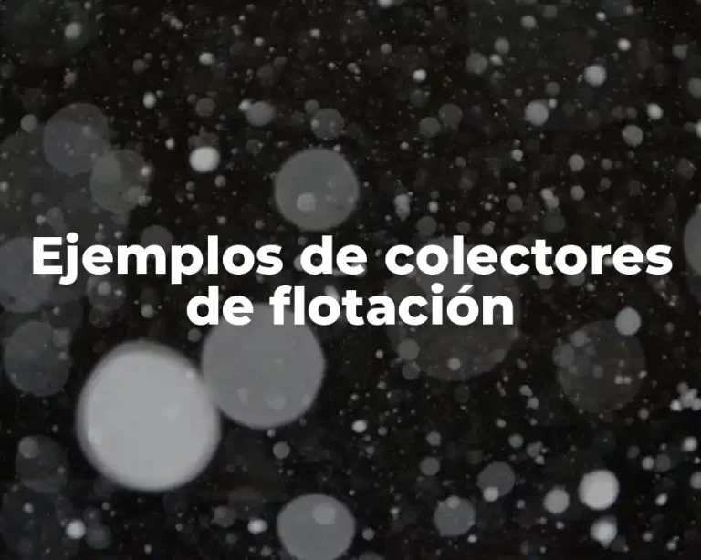 Ejemplos de colectores de flotación