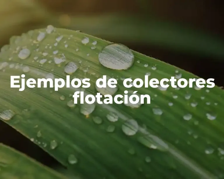 Ejemplos de colectores flotación