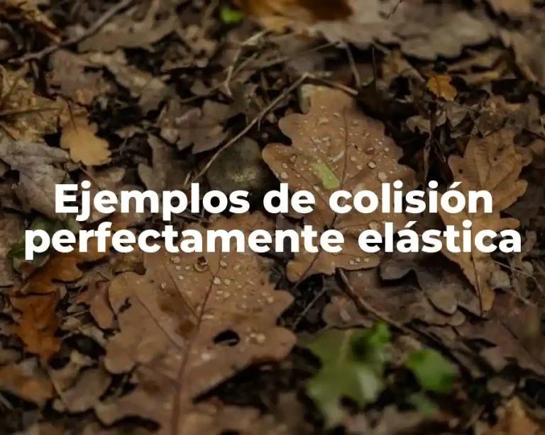 Ejemplos de colisión perfectamente elástica
