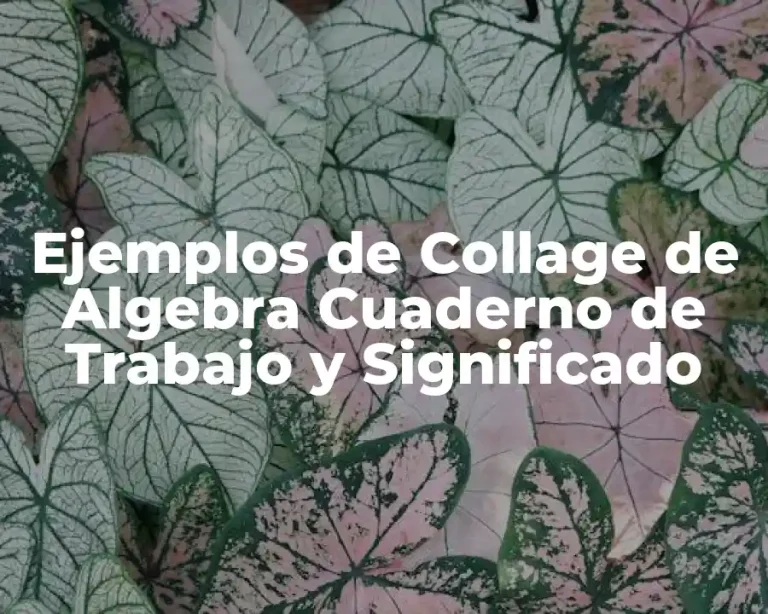 Ejemplos de Collage de Algebra Cuaderno de Trabajo y Significado