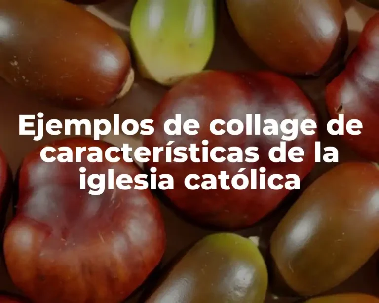 Ejemplos de collage de características de la iglesia católica