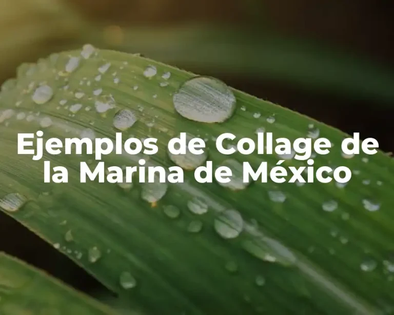 Ejemplos de Collage de la Marina de México