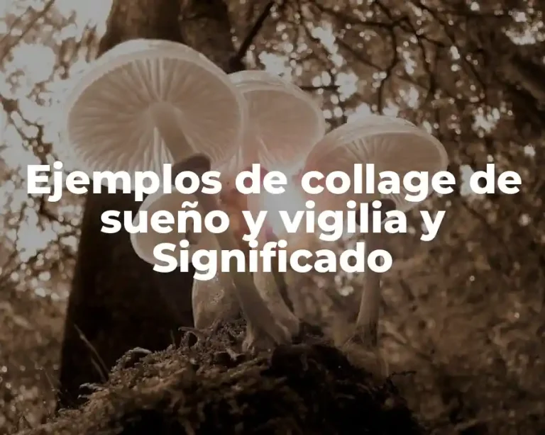 Ejemplos de collage de sueño y vigilia y Significado