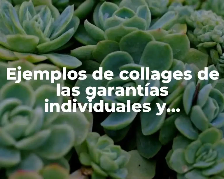 Ejemplos de collages de las garantías individuales y Significado