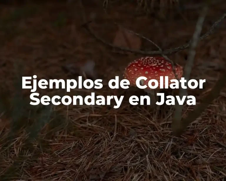 Ejemplos de Collator Secondary en Java