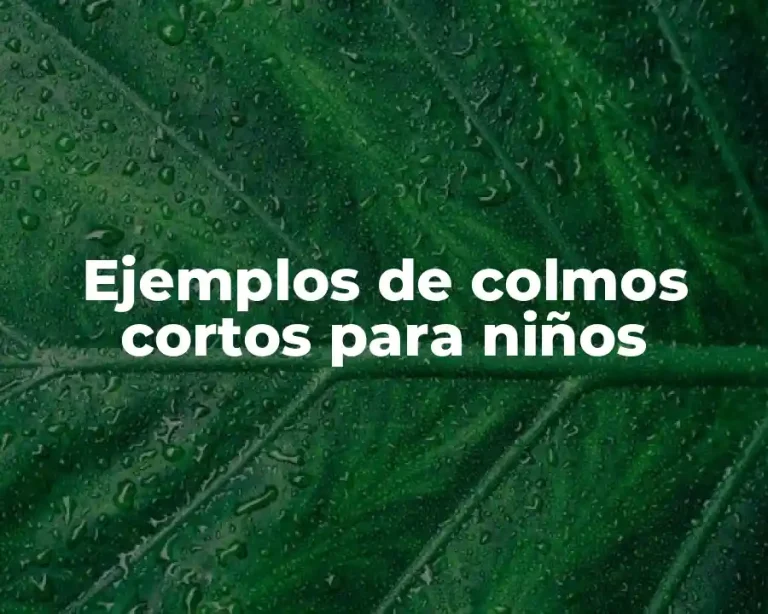 Ejemplos de colmos cortos para niños
